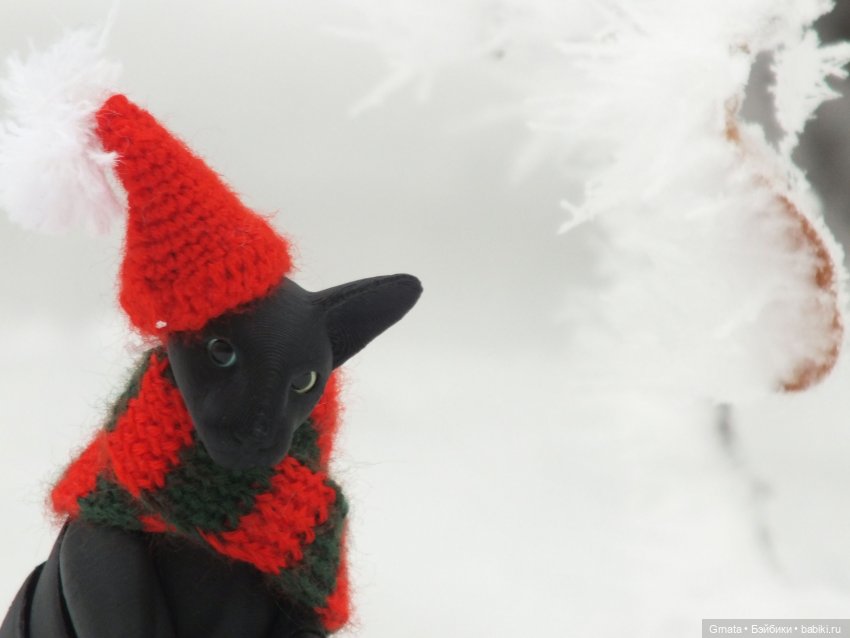 Из жизни кота-ориентала или приключения Ходи | Бэйбики Из жизни кота-ориентала или приключения Ходи (фото 6)