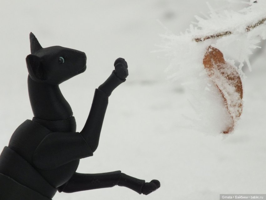 Из жизни кота-ориентала или приключения Ходи | Бэйбики Из жизни кота-ориентала или приключения Ходи (фото 4)