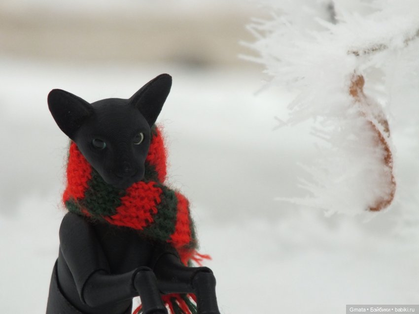 Из жизни кота-ориентала или приключения Ходи | Бэйбики Из жизни кота-ориентала или приключения Ходи (фото 5)