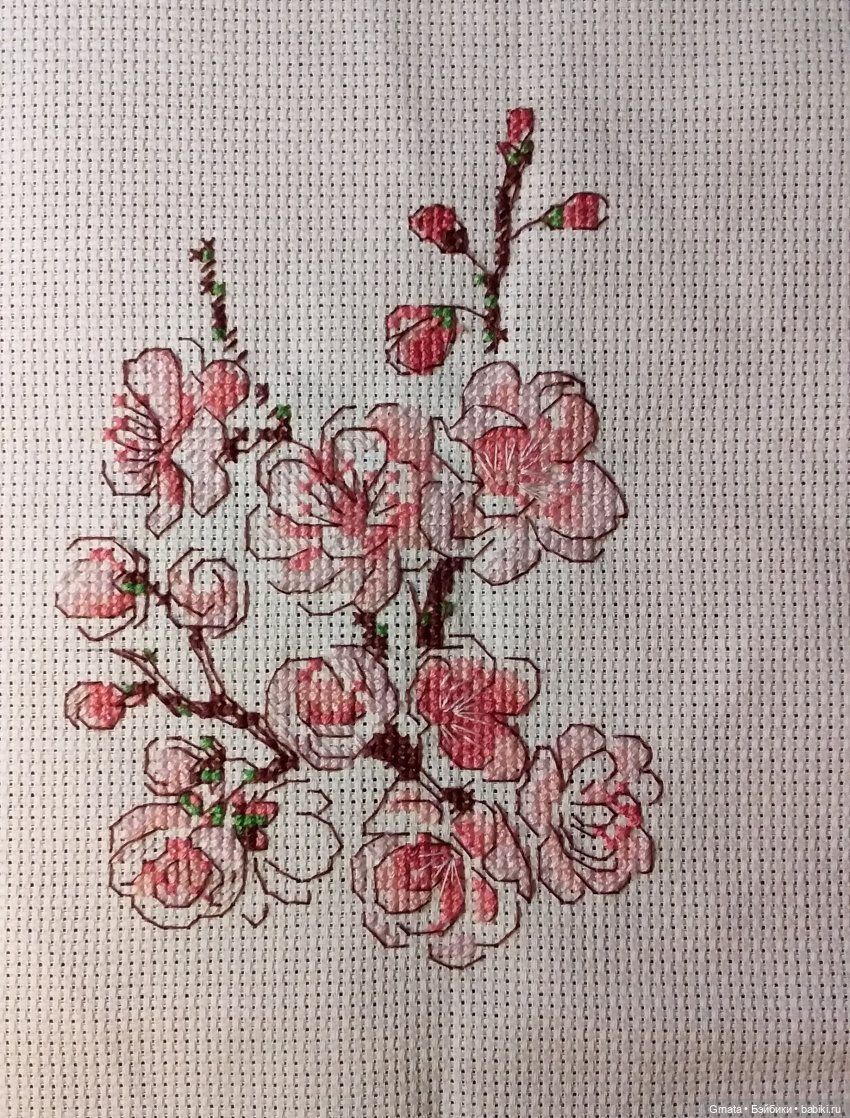 веточка сакуры