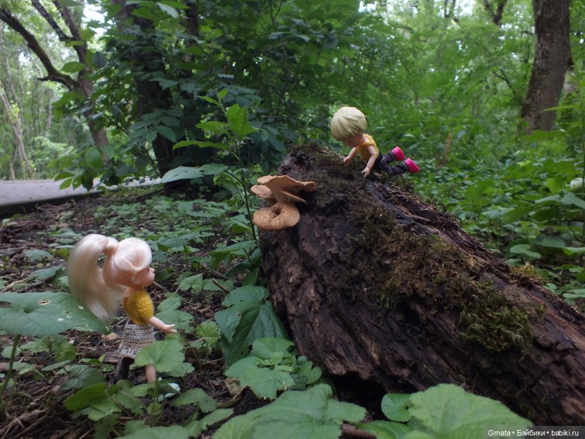 Пятигорск и куклы — Туризм и путешествия: фотоотчеты из поездок (фото 9)