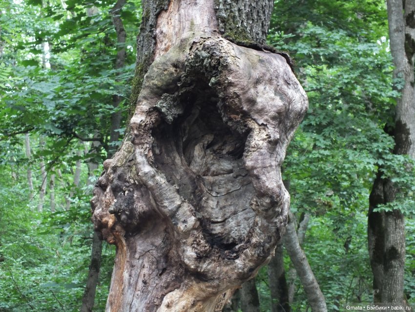 Пятигорск и куклы — Туризм и путешествия: фотоотчеты из поездок (фото 8)