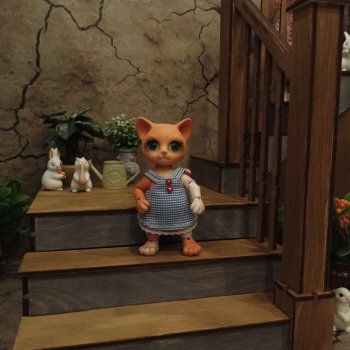 По следам Доллмаркета