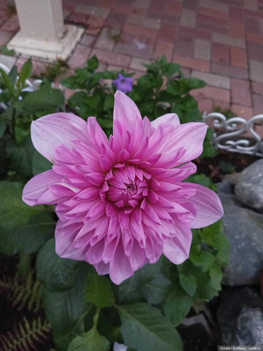 Просто так... Просто хочется лета) | Бэйбики Просто так... Просто хочется лета) (фото 6)