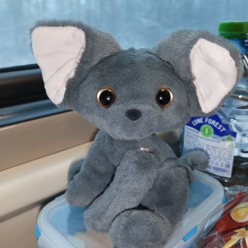 Просто так... Просто хочется лета).