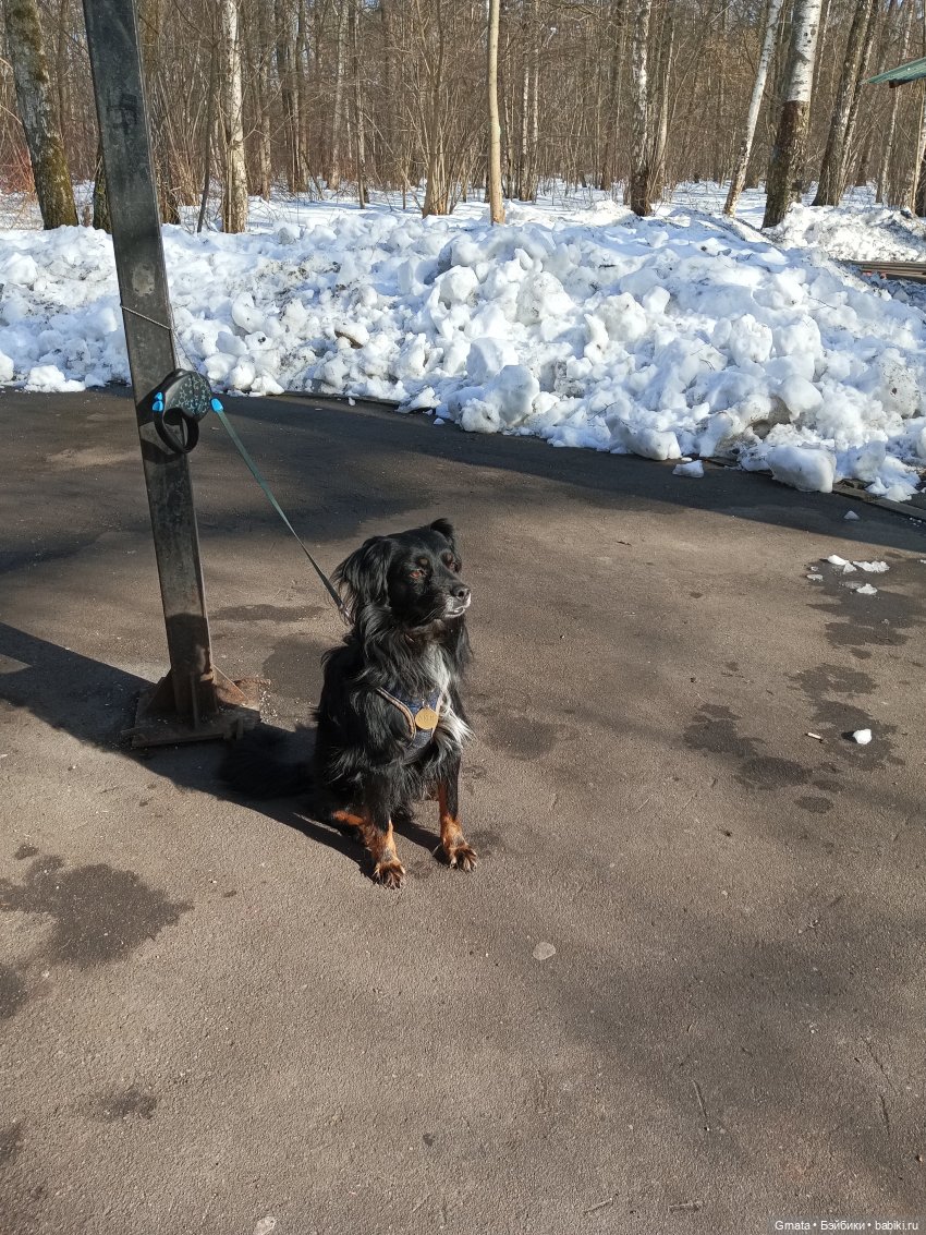 Весна, версия 2.0 | Бэйбики Весна, версия 2.0 — Домашние фото авторских кукол: личные коллекции (фото 7)