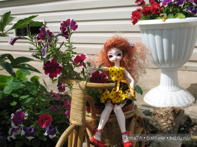 Моя Алиса (Momo от DollPamm) в цветах (фото 6)