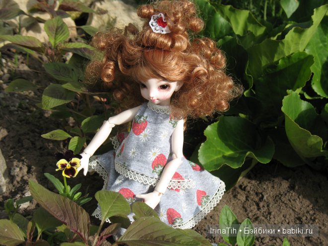 Моя Алиса (Momo от DollPamm) в цветах (фото 2)