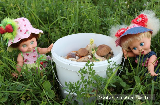 История о том, как Шерри и Сьюзи отправились за грибами (Galoob Baby Face)