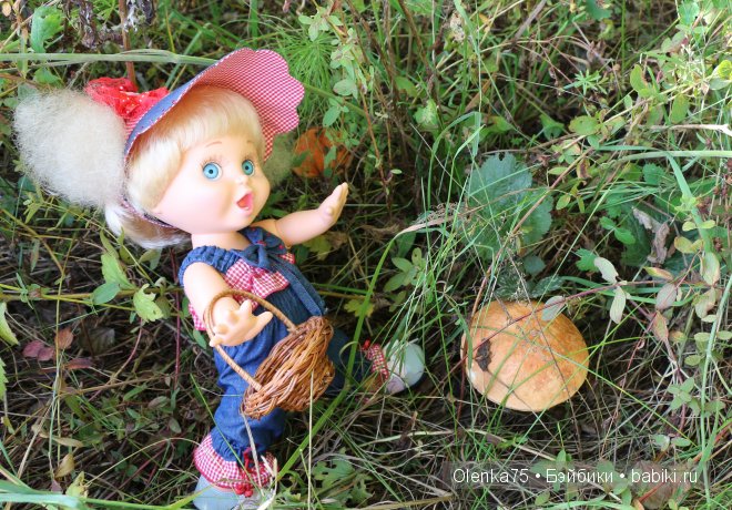 История о том, как Шерри и Сьюзи отправились за грибами (Galoob Baby Face) (фото 5)