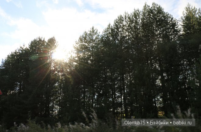 История о том, как Шерри и Сьюзи отправились за грибами (Galoob Baby Face) (фото 3)