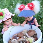 История о том, как Шерри и Сьюзи отправились за грибами (Galoob Baby Face)