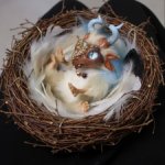 продам детеныша дракона