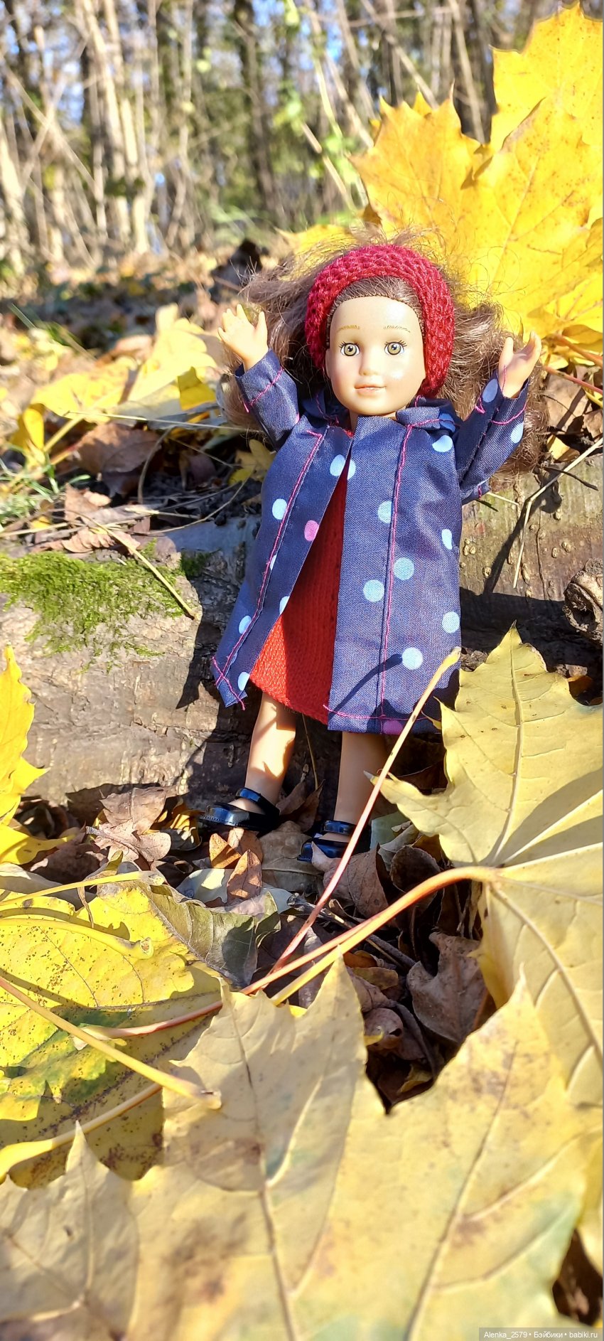 Осенние денечки — American Girl Mini: Куклы 16 см (фото 3)