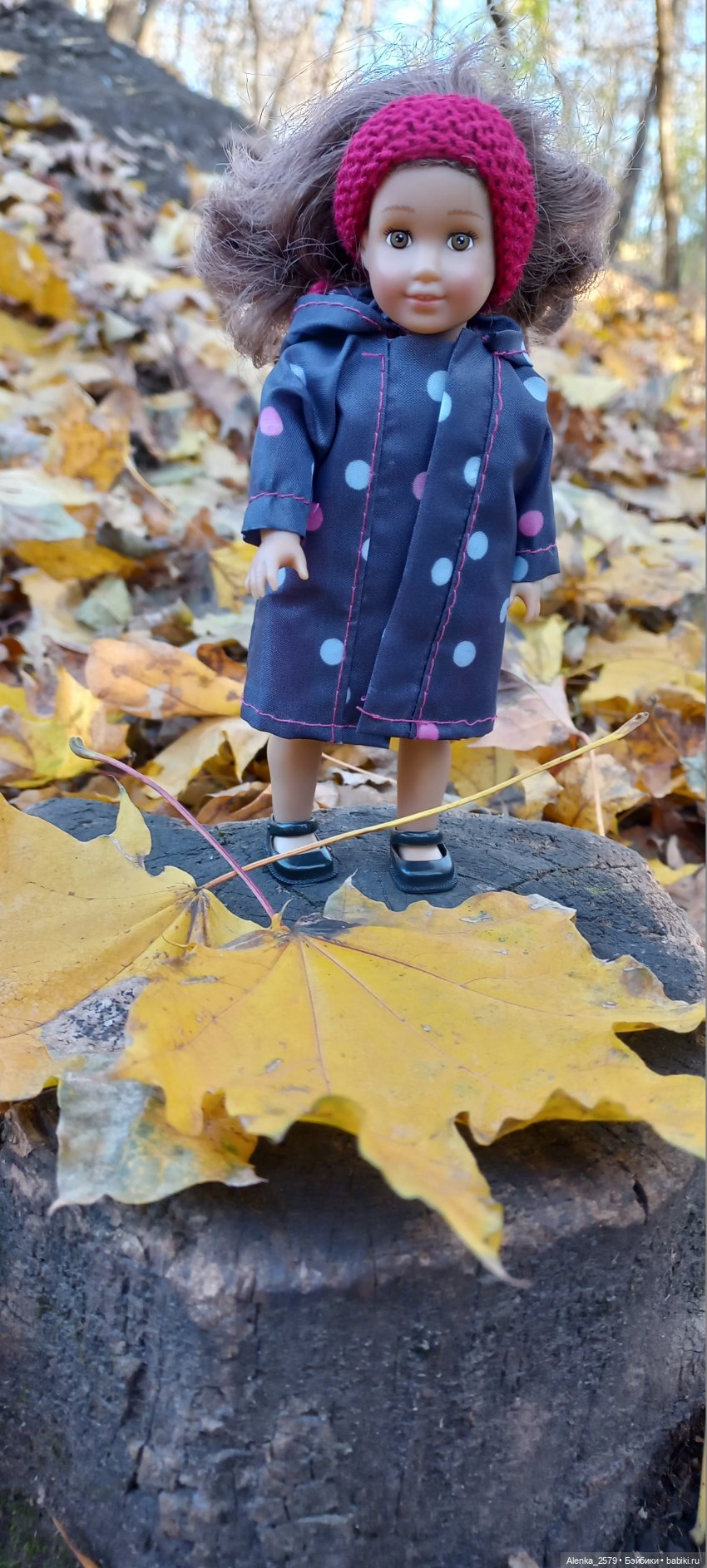 Осенние денечки — American Girl Mini: Куклы 16 см (фото 7)