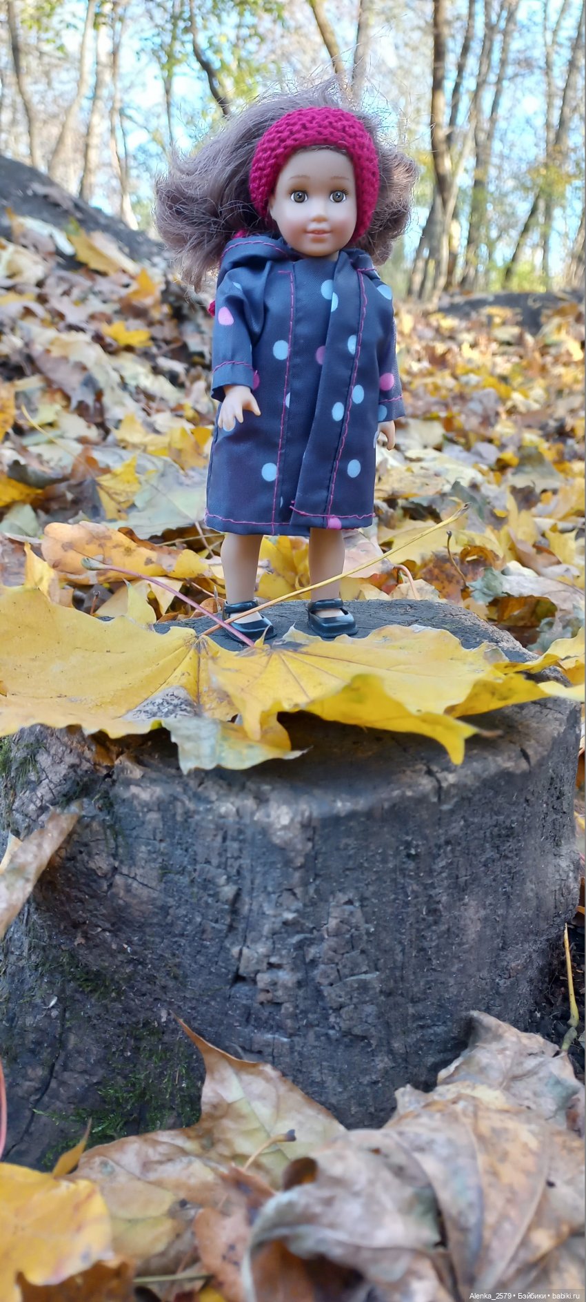 Осенние денечки — American Girl Mini: Куклы 16 см (фото 8)