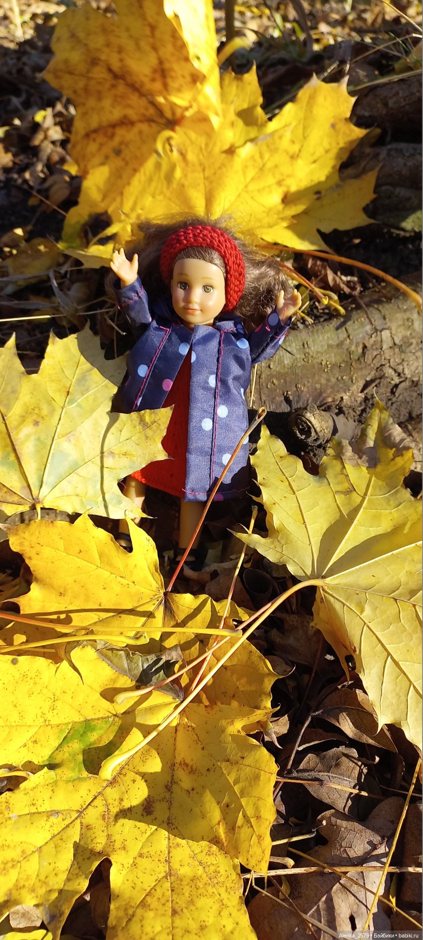 Осенние денечки — American Girl Mini: Куклы 16 см (фото 2)