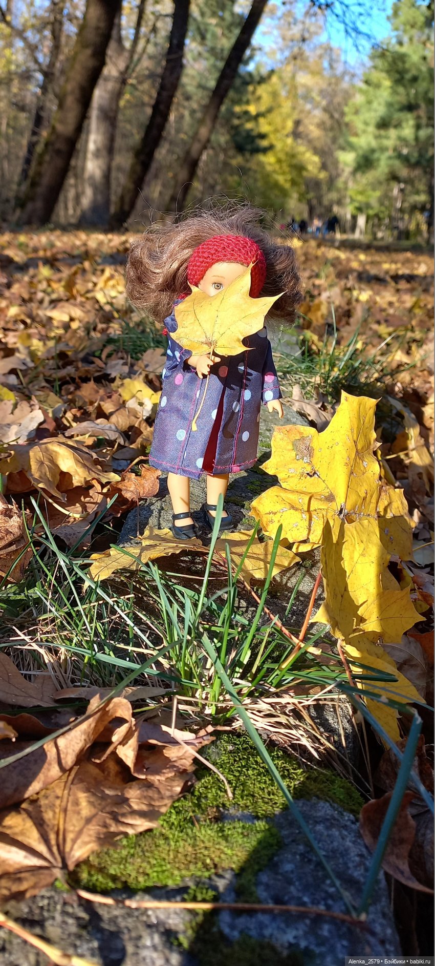 Осенние денечки — American Girl Mini: Куклы 16 см (фото 4)