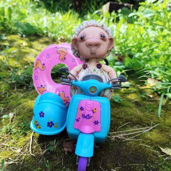 Фиошино путешествие