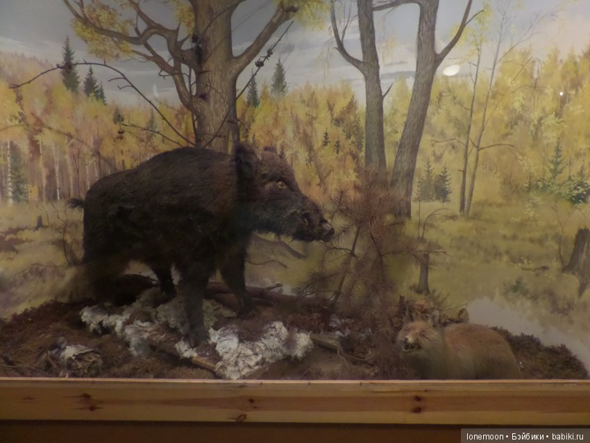 Непоседливая Пэтси и небольшое путешествие