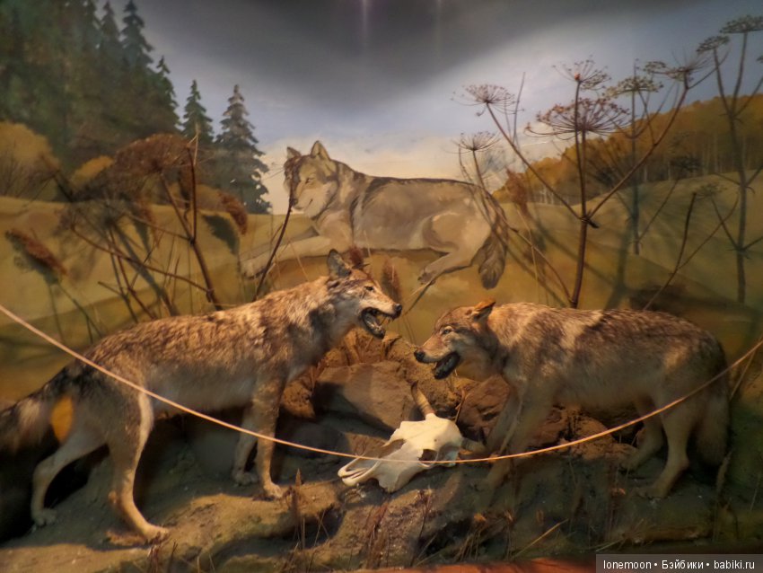 Непоседливая Пэтси и небольшое путешествие