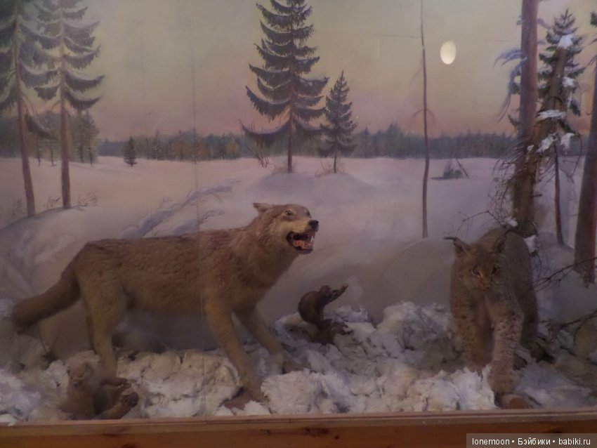 Непоседливая Пэтси и небольшое путешествие