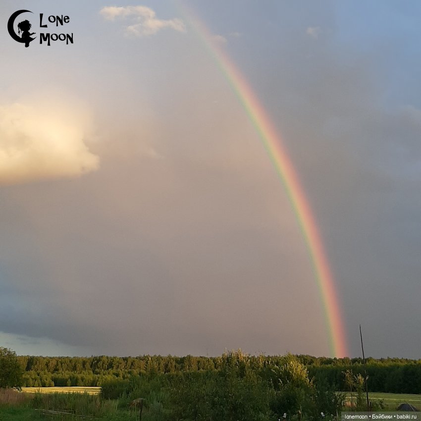 Элькины "канительки" — Куклы Nikki Britt (Никки Бритт): авторские BJD (БЖД)