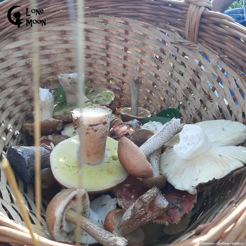 Элькины "канительки" — Куклы Nikki Britt (Никки Бритт): авторские BJD (БЖД)