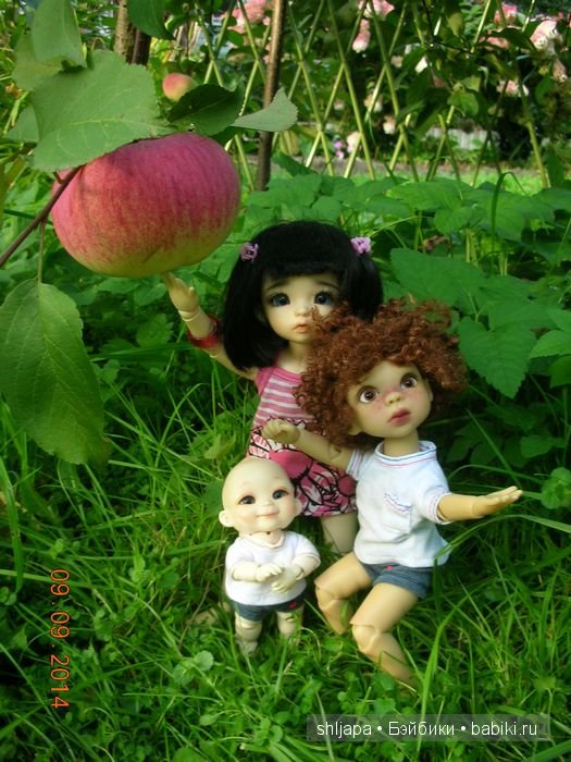 А у нас яблоки — Коллекции кукол BJD (БЖД): фото витрин (фото 2)