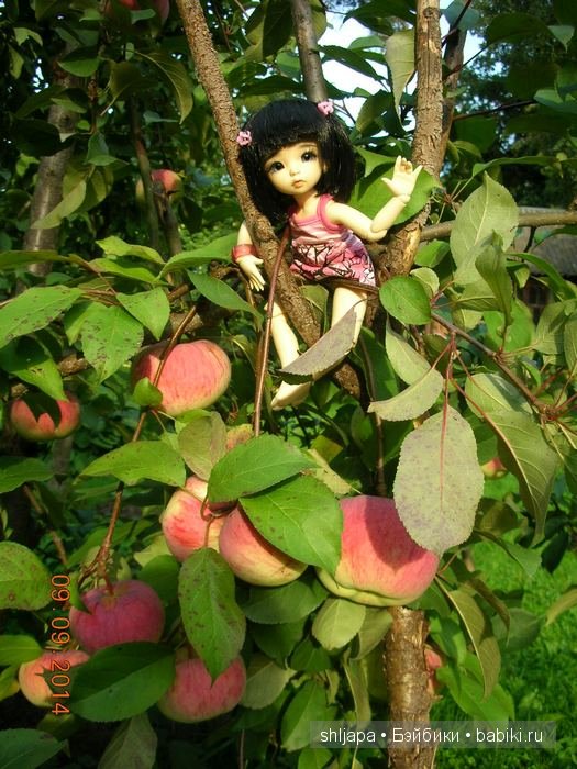 А у нас яблоки — Коллекции кукол BJD (БЖД): фото витрин (фото 3)