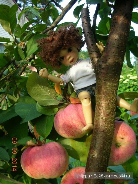 А у нас яблоки — Коллекции кукол BJD (БЖД): фото витрин (фото 4)