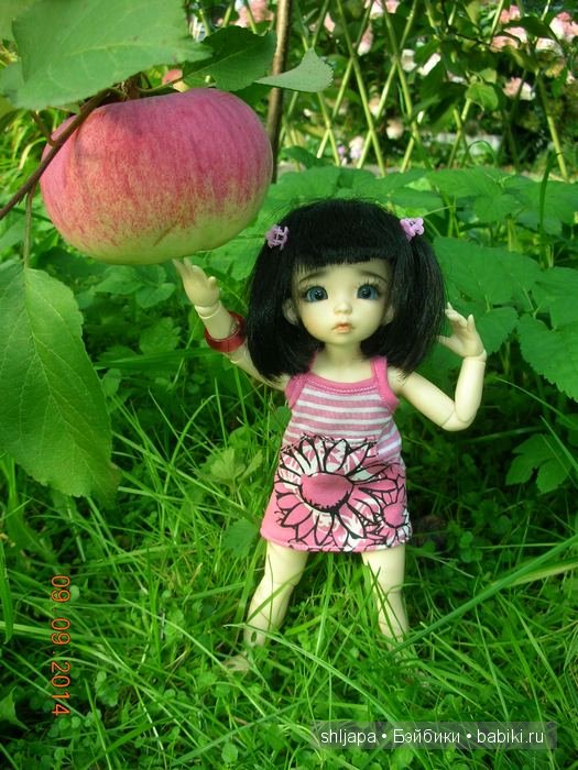 А у нас яблоки — Коллекции кукол BJD (БЖД): фото витрин