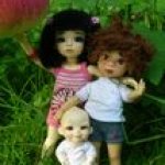 Новая игрушка