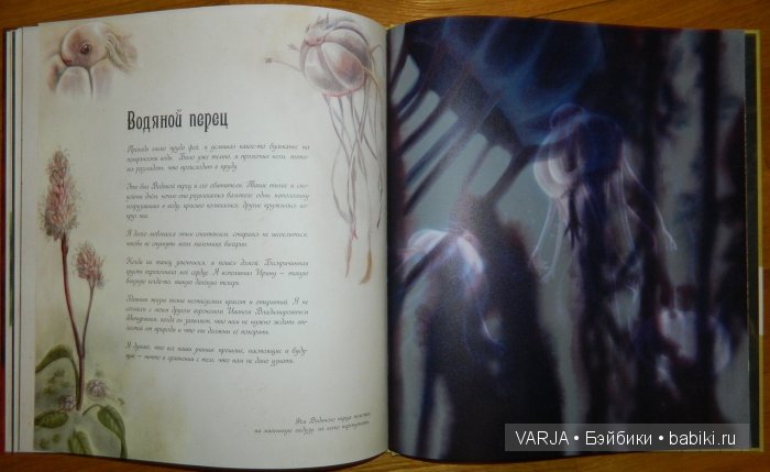 Чем же популярен Бенджамин Лакомб (Benjamin Lacombe)