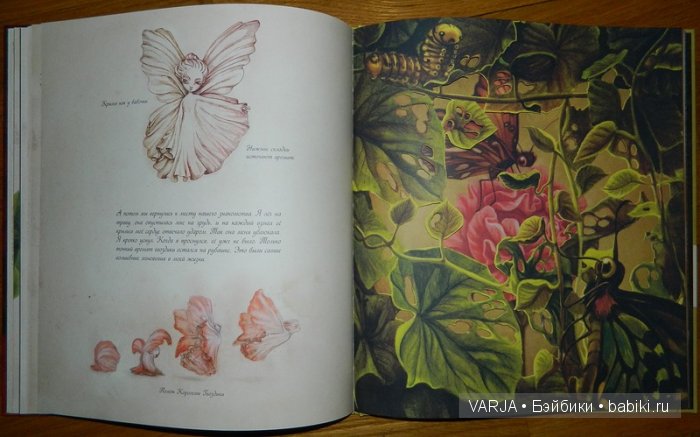 Чем же популярен Бенджамин Лакомб (Benjamin Lacombe)