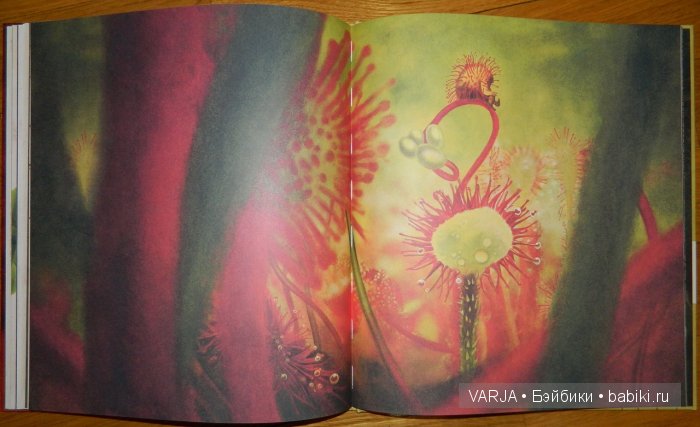 Чем же популярен Бенджамин Лакомб (Benjamin Lacombe)