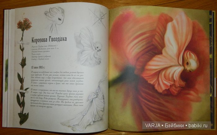 Чем же популярен Бенджамин Лакомб (Benjamin Lacombe)