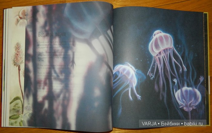 Чем же популярен Бенджамин Лакомб (Benjamin Lacombe)