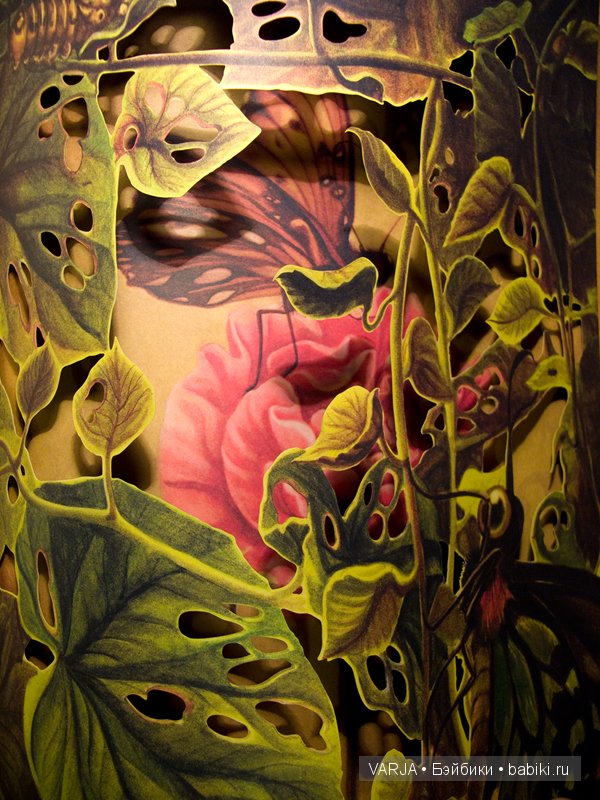 Чем же популярен Бенджамин Лакомб (Benjamin Lacombe)