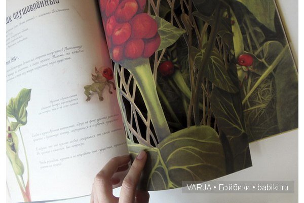 Чем же популярен Бенджамин Лакомб (Benjamin Lacombe)