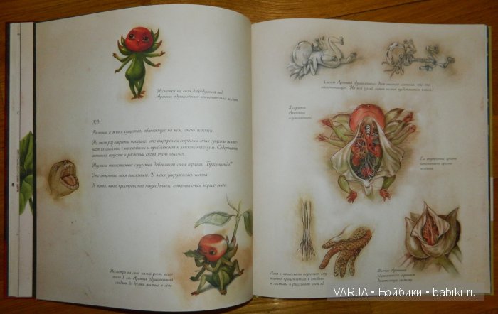 Чем же популярен Бенджамин Лакомб (Benjamin Lacombe)