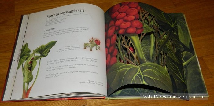 Чем же популярен Бенджамин Лакомб (Benjamin Lacombe)