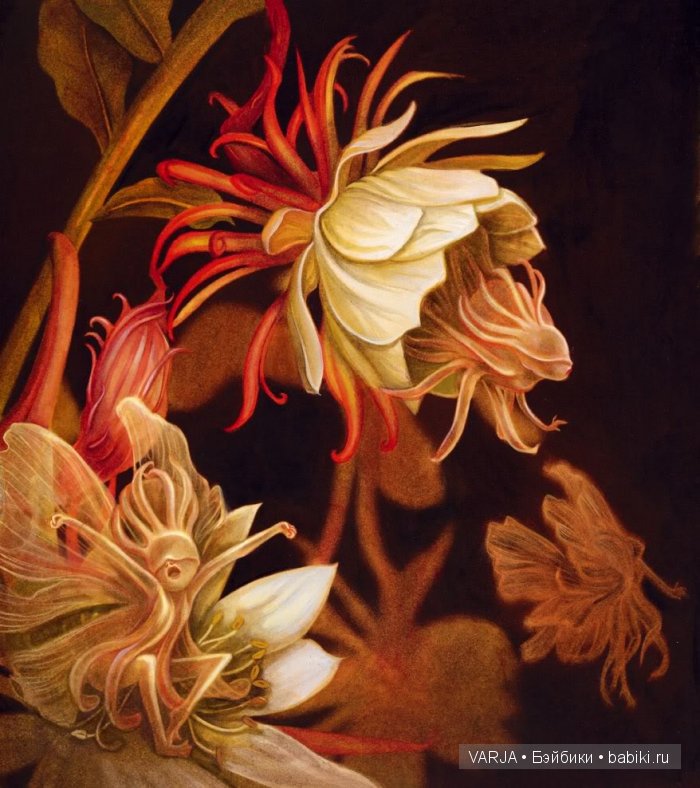 Чем же популярен Бенджамин Лакомб (Benjamin Lacombe)