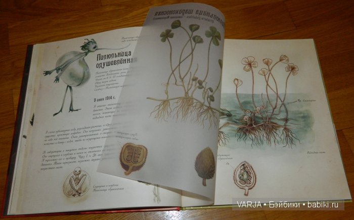 Чем же популярен Бенджамин Лакомб (Benjamin Lacombe)