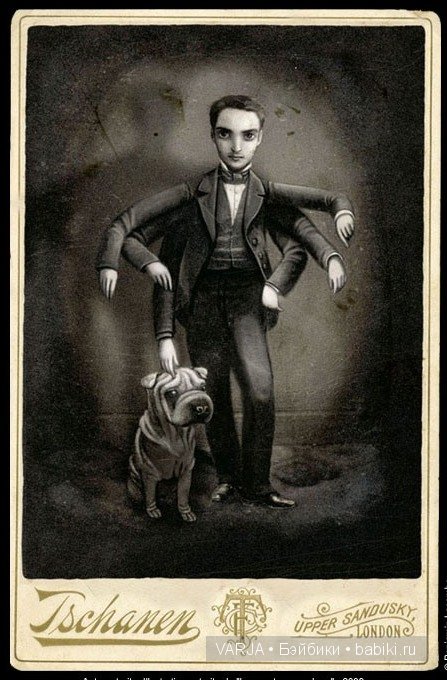 Чем же популярен Бенджамин Лакомб (Benjamin Lacombe)