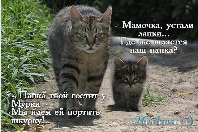 Урааа!Выходные — Болталка и разговоры обо всем: жизнь