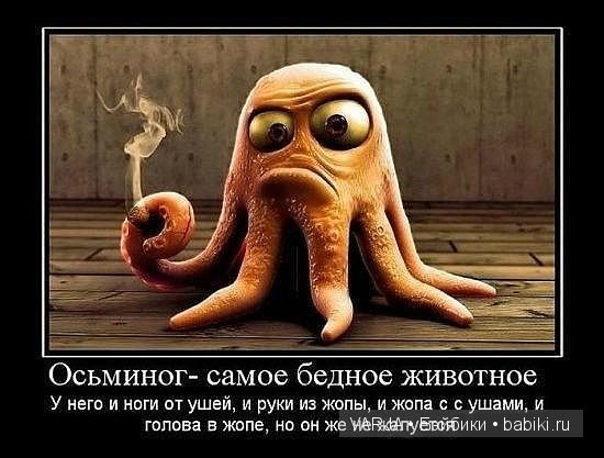 Урааа!Выходные — Болталка и разговоры обо всем: жизнь