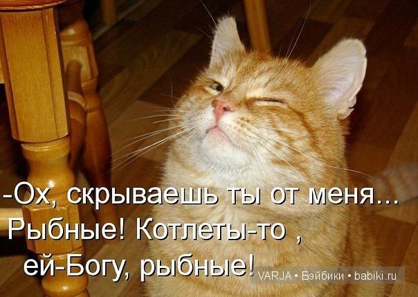 Урааа!Выходные — Болталка и разговоры обо всем: жизнь (фото 6)