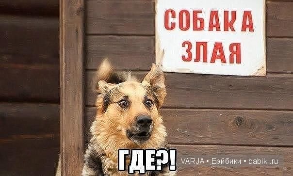 Урааа!Выходные — Болталка и разговоры обо всем: жизнь