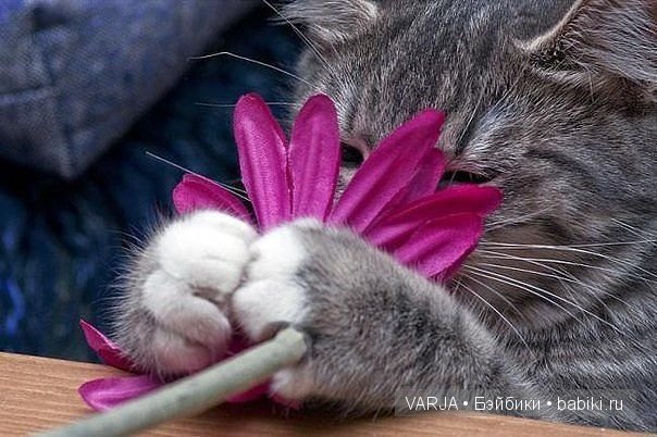 Урааа!Выходные — Болталка и разговоры обо всем: жизнь